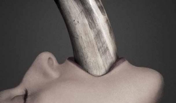 AHSCovenfront American Horror Story Coven