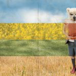 Finsterworld (2013) Finsterworld (2013) Filmkritik