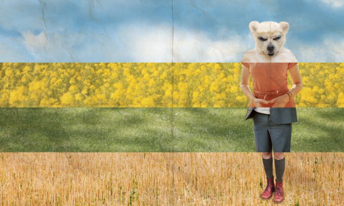 Finsterworld (2013) Filmkritik