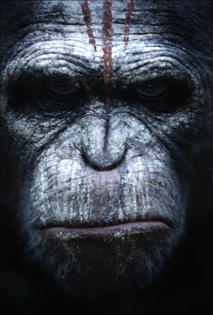 Planet der Affen - Revolution Poster 3