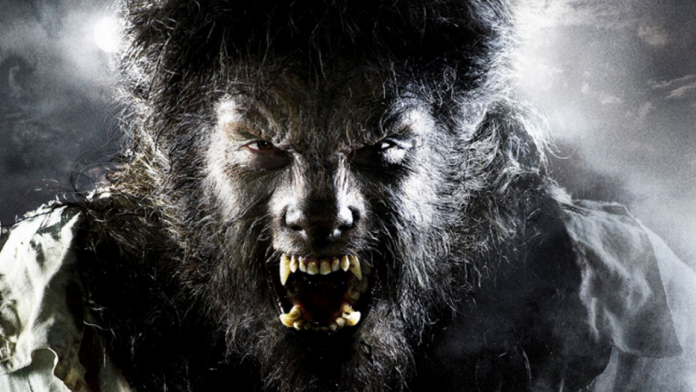 The Wolfman Serie