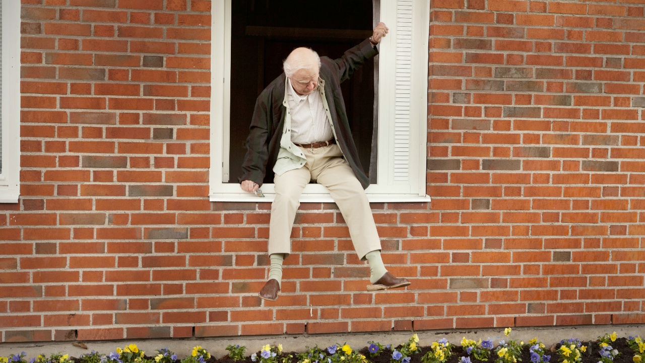 Der Hundertjährige, der aus dem Fenster stieg und verschwand (2014) Filmkritik