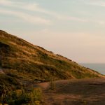 Beste Kamera 2014: Der Verband der Kameraleute nominiert fünf Filme Beste Kamera 2014 Mr. Turner