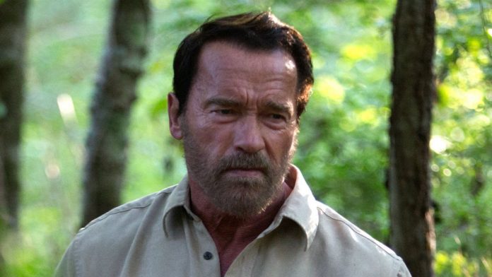 Arnold Schwarzenegger 478