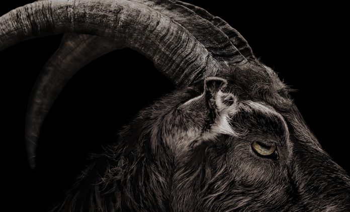 The Witch (2015) Filmkritik