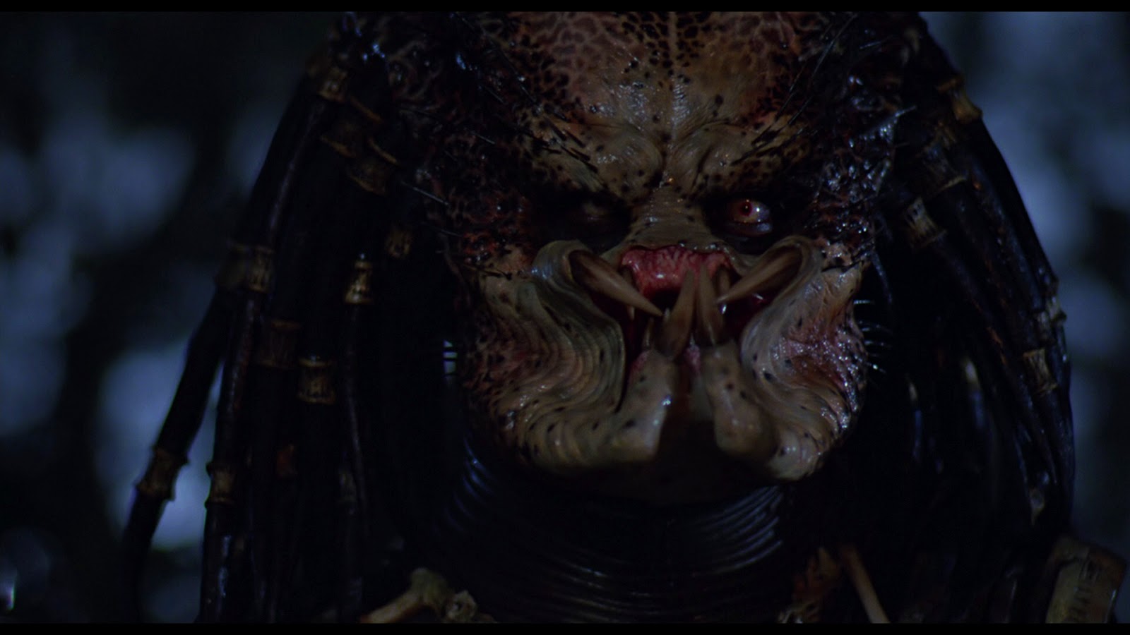 The Predator Drehstart