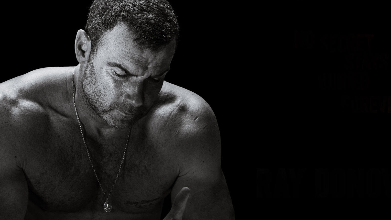 Ray Donovan Staffel 5