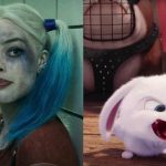 Box-Office Deutschland: Suicide Squad und Pets führen wieder Box Office Deutschland Pets Suicide Squad