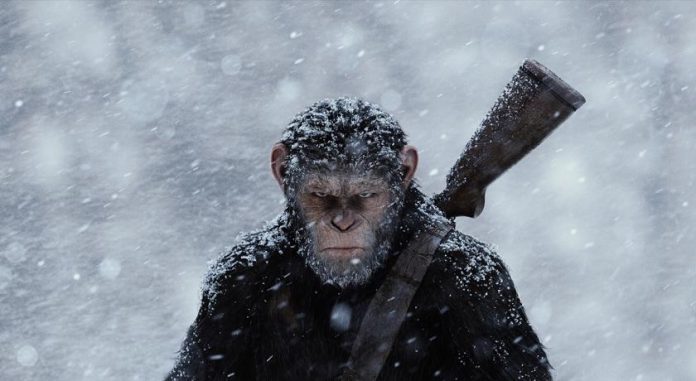 Planet der Affen Survival Trailer