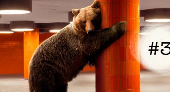 Filmfutter Frische News Kritiken Kinostarts Und Mehr Seite 16