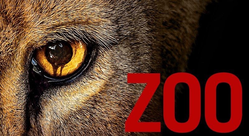 Zoo Staffel 3 Start