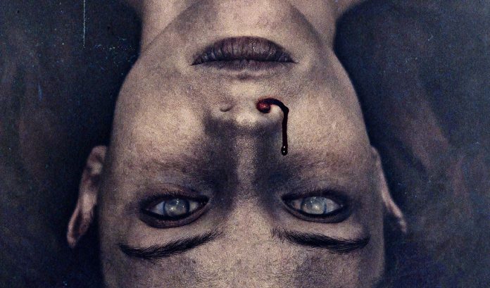 The Autopsy of Jane Doe (2016) Titelbild