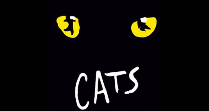 Cats Film