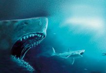 The Meg Kinostart Deutschland The Meg Kinostart Deutschland