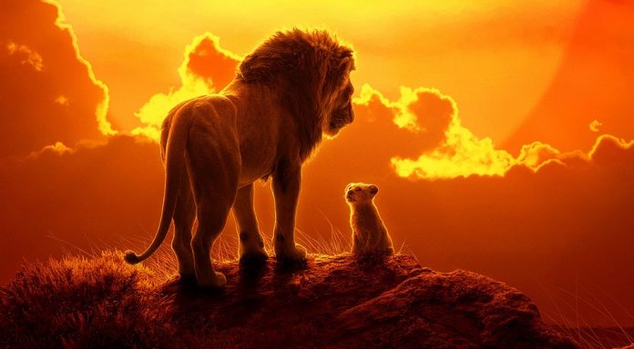 Der König der Löwen 2019 Filmkritik Der König der Löwen 2019 Filmkritik
