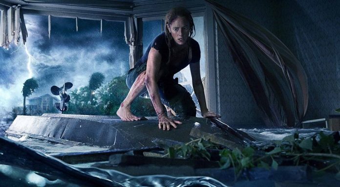 Crawl (2019) Filmkritik Crawl (2019) Filmkritik