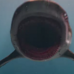 Deep Blue Sea 3: Genetisch manipulierte Killerhaie greifen im Trailer wieder an Deep Blue Sea 3 Trailer