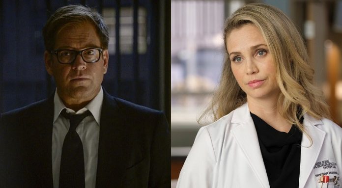 Michael Weatherly, Fiona Gubelman Bull Staffel 5 Start