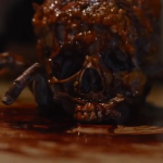 Cyst: Schleim, Eiter und Blut im Trailer zum Ekel-Horror mit Eva Habermann Cyst Trailer