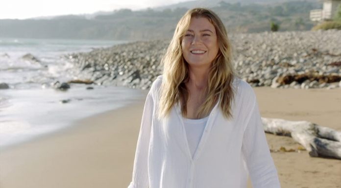 Ellen Pompeo in Greys Anatomy Staffel 17 Folgen
