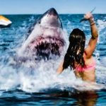 Junge Partyleute werden zu Haifutter im Trailer zu Shark Bait Shark Bait Trailer