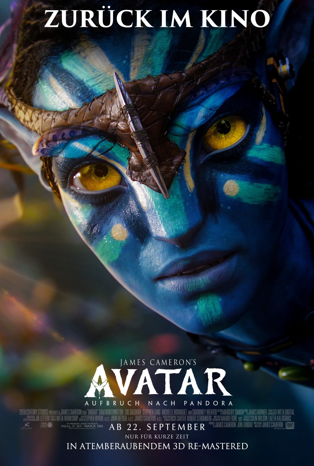 Avatar Disney Plus Kino