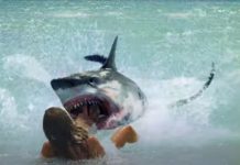 Shark Waters Trailer