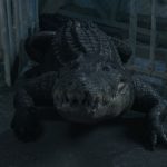 Hungrige Krokodile crashen eine Hochzeit im Trailer zum Tierhorrorfilm Croc! Croc Trailer