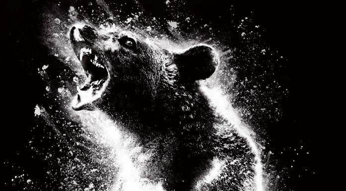 Cocaine Bear (2023) Filmkritik Cocaine Bear (2023) Filmkritik