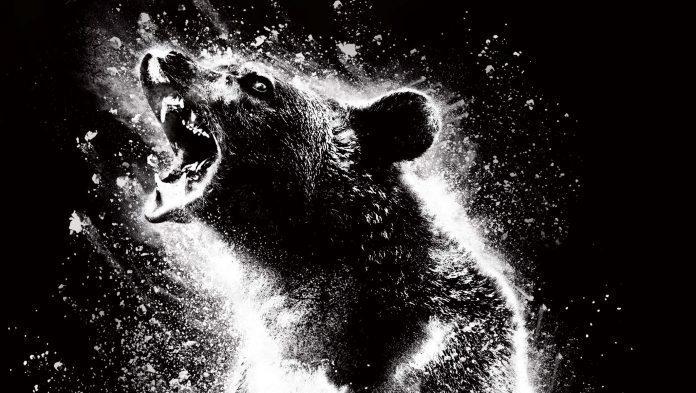 Cocaine Bear (2023) Filmkritik