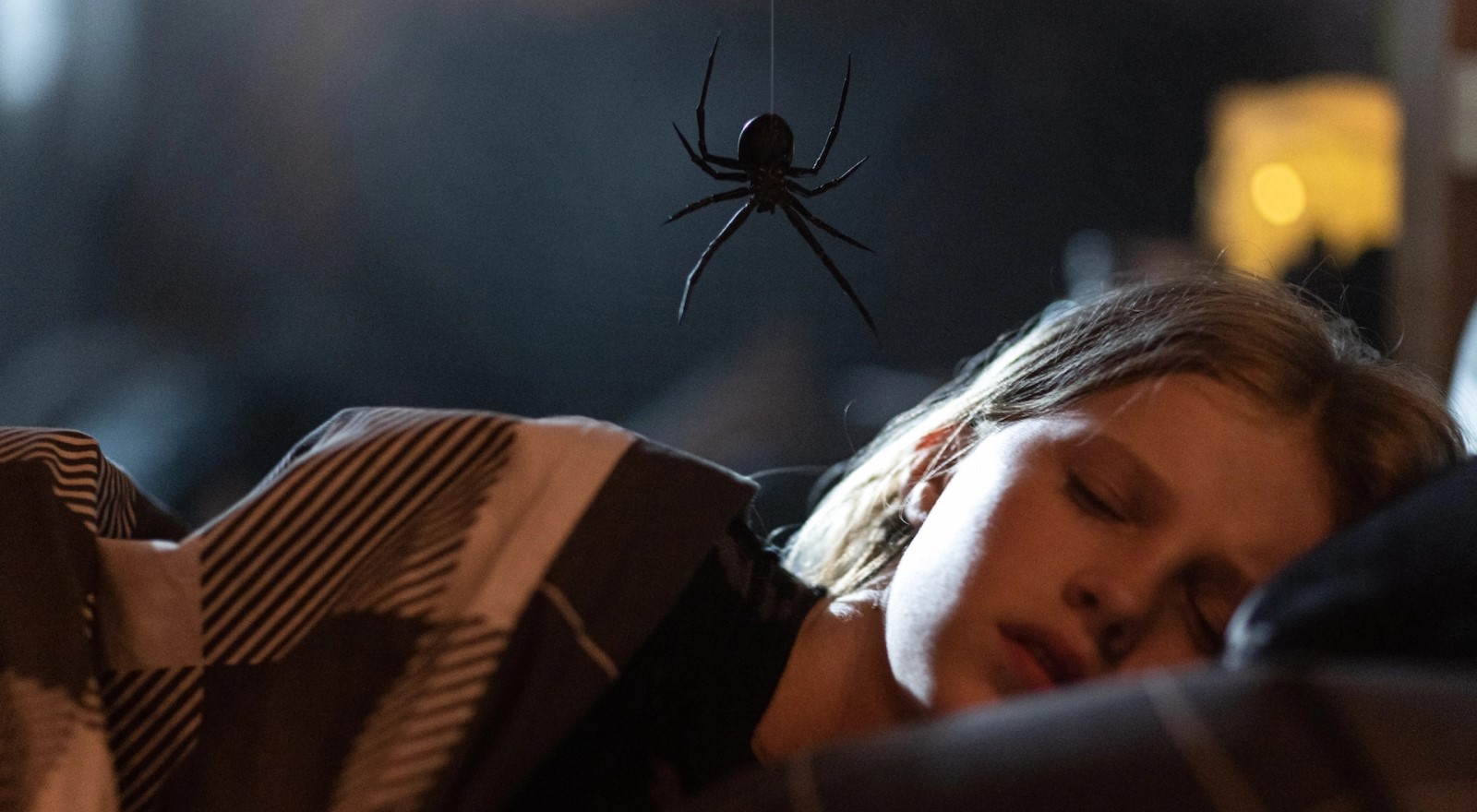 #Sting: Erstes Foto aus dem Spinnen-Horrorfilm mit handgemachten Effekten