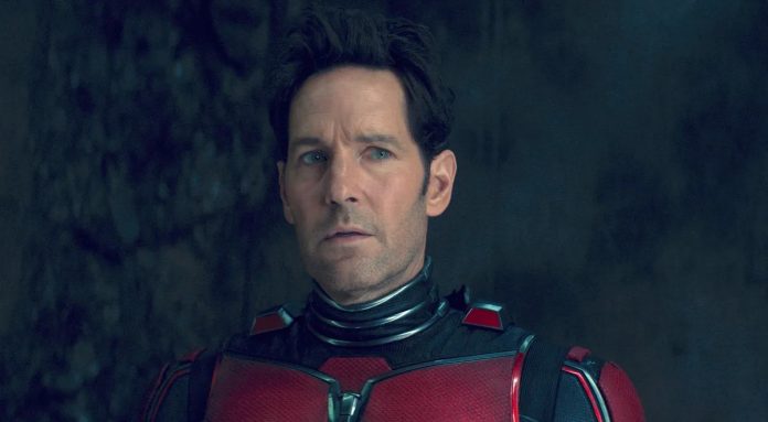 Paul Rudd in Ant Man 4