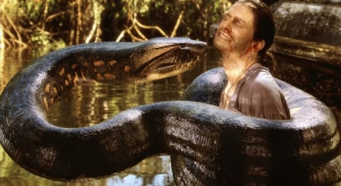 Vincent Castellanos in Anaconda Reboot Regie