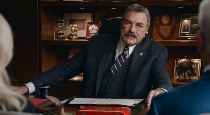 Blue Bloods Staffel 14