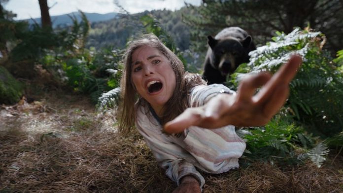 Hannah Hoekstra in Cocaine Bear Splatterszene