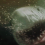 Maneater: Trailer zum R-rated Killerhai-Film Maneater Trailer