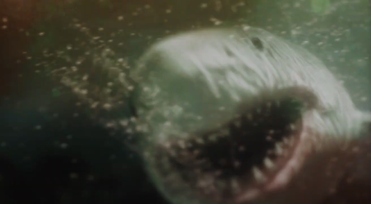 #Maneater: Trailer zum R-rated Killerhai-Film