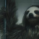 Alpha, das Killer-Faultier meuchelt Studentinnen im Trailer zu Slotherhouse Slotherhouse Trailer