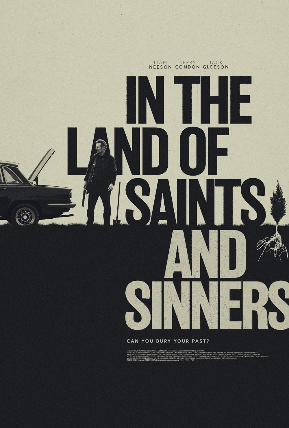 In the Land of Saints and Sinners Liam Neeson Poster