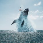 The Black Demon: Deutscher Trailer und Veröffentlichungstermin des R-rated Riesenhai-Films The Black Demon Start Deutschland