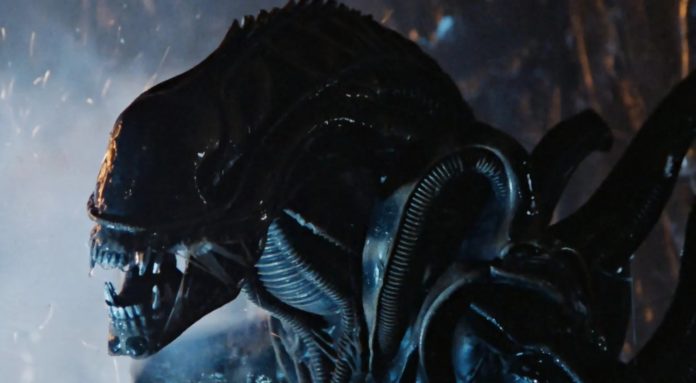 Bolaji Badejo in Alien Romulus Film