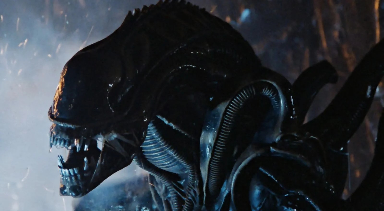 #Alien: Romulus als Titel des nächsten Films offiziell bestätigt