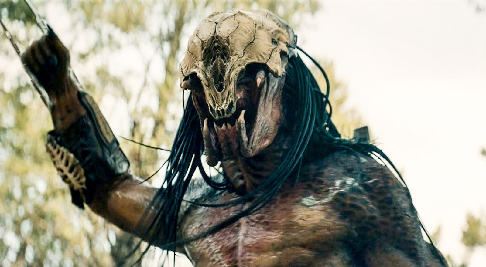 #Badlands: Neuer Predator-Film vom Prey-Regisseur bestätigt, Prey 2 ist auch im Gespräch