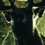 Bambi ist ganz schön groß und wütend im Teaser zu Bambi: Die Abrechnung Bambi Die Abrechnung Teaser