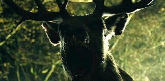 Bambi Die Abrechnung Teaser