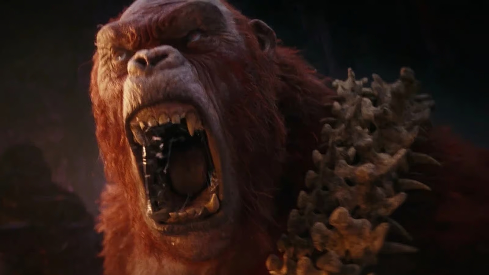 Godzilla x Kong The New Empire (2024) Filmbild 4