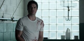 Ian Somerhalder Ruhestand