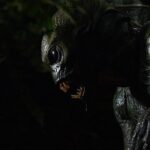 Im deutschen Trailer zu Orang Ikan treibt ein Fischmonster sein Unwesen während des Zweiten Weltkriegs Orang Ikan Trailer