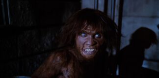 Der Höllentrip Remake