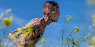 28 Years Later neuer Trailer